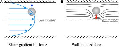 Accelerating the development of inertial microfluidic devices using numerical modelling and machine learning